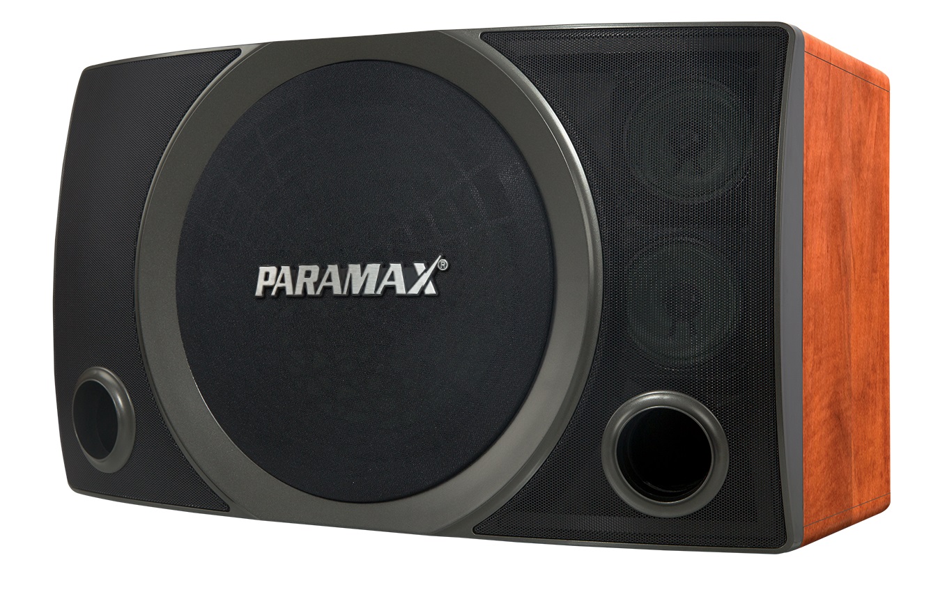 loa karaoke chuyên nghiệp